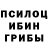 Галлюциногенные грибы MAGIC MUSHROOMS THEBUREK ANATOLEBETH