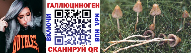 Купить закладки  Зуевка  Псилоцибиновые грибы Magic Shrooms 